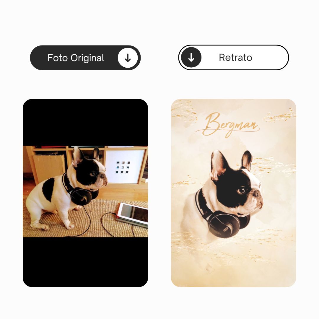 Nube de oro | Retrato de mascota personalizado