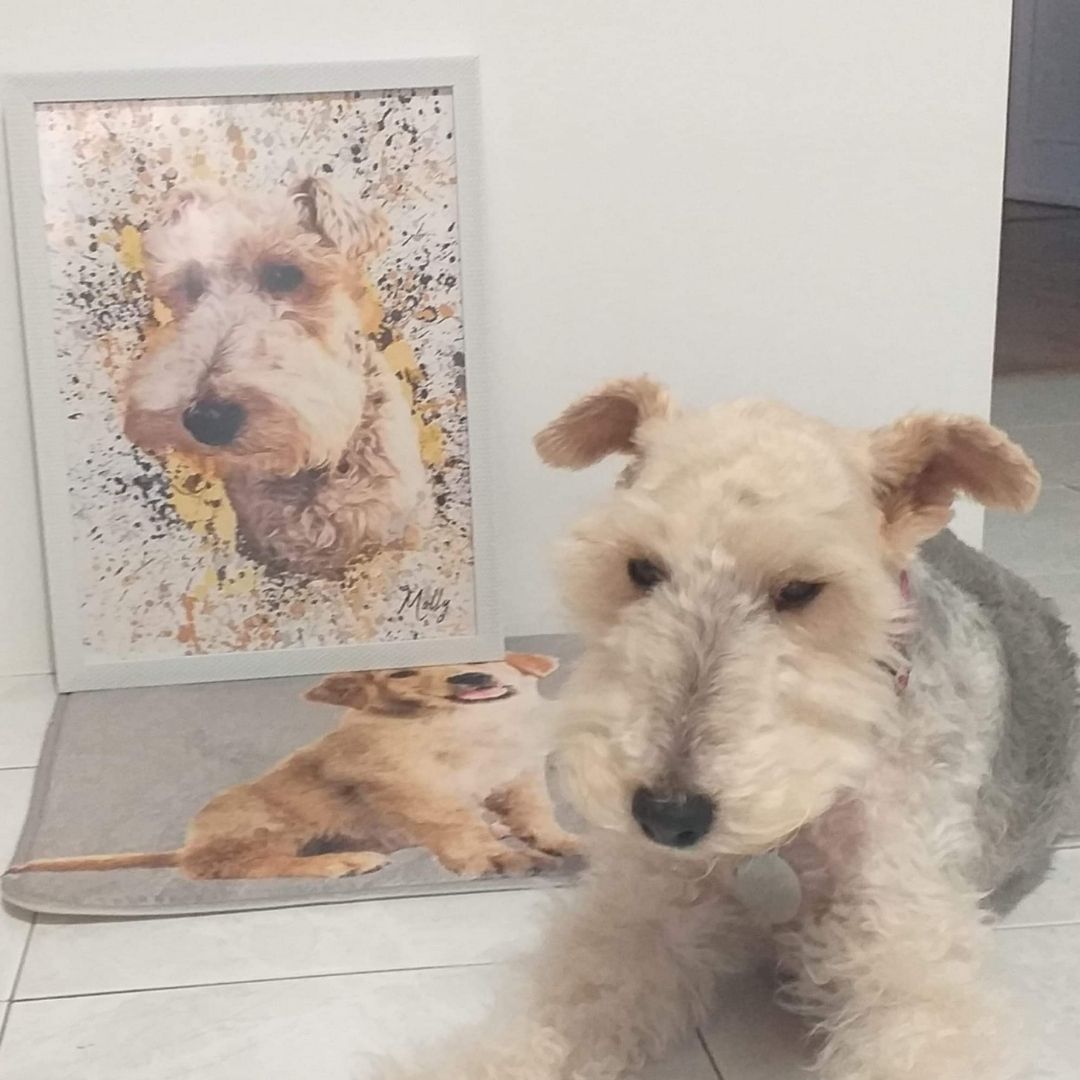 Chapoteo | Retrato de mascota personalizado