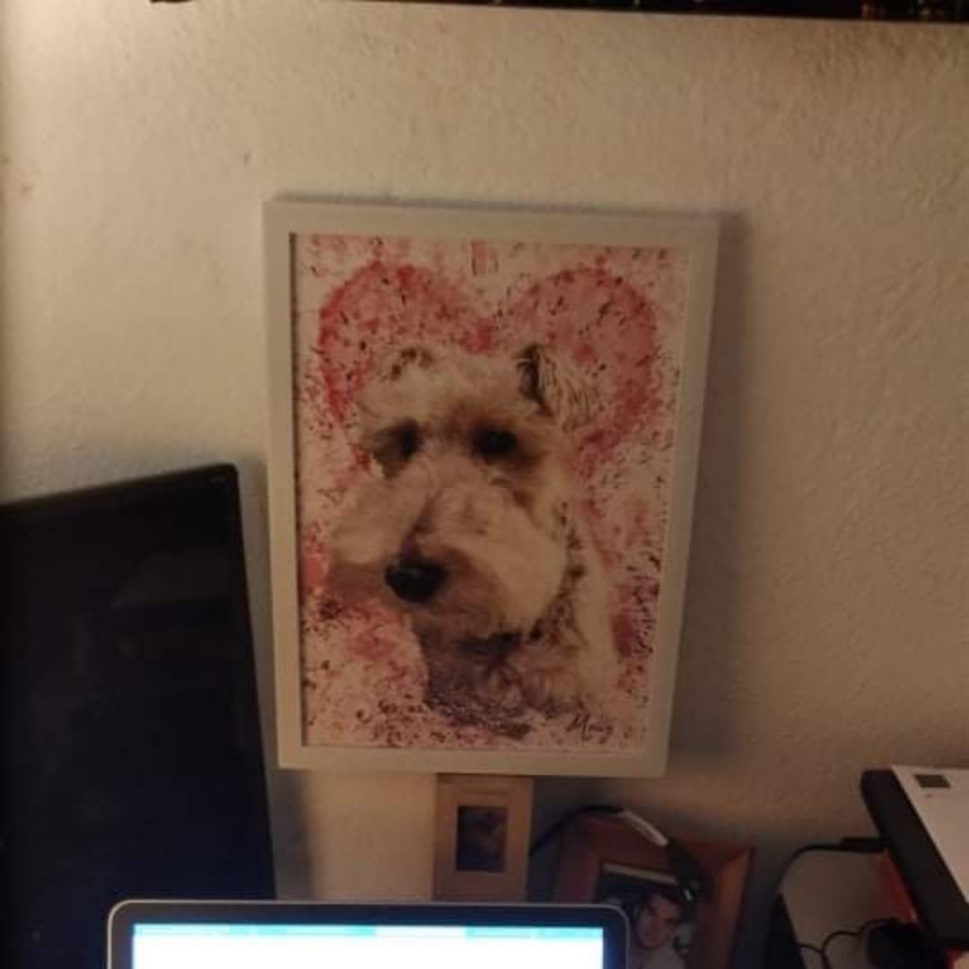 Chapoteo | Retrato de mascota personalizado