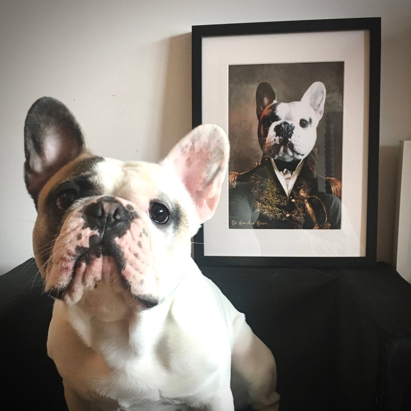 Almirante | Retrato de mascota personalizado