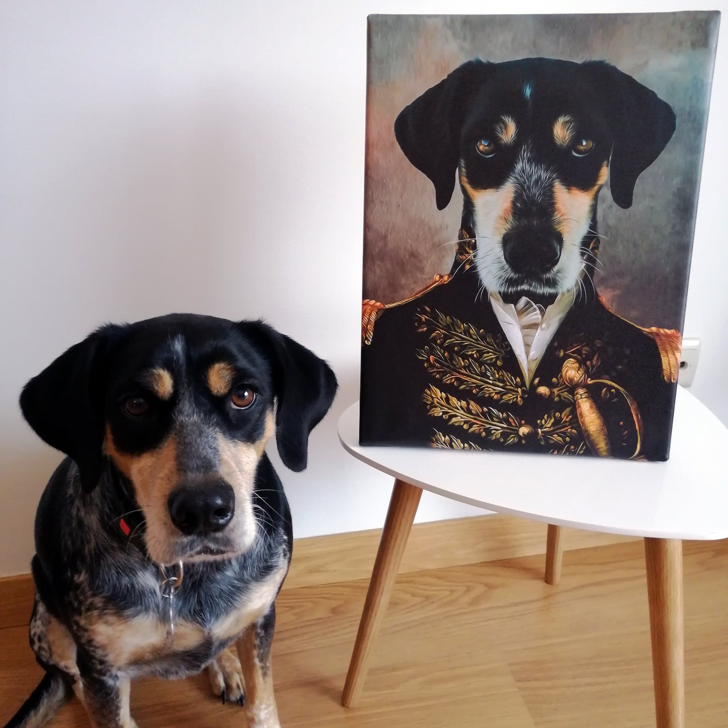 Almirante | Retrato de mascota personalizado