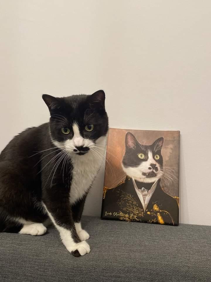 Almirante | Retrato de mascota personalizado