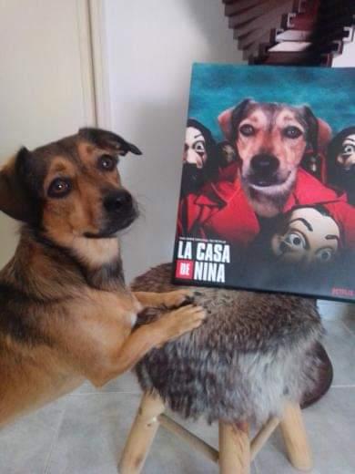 La Casa de Papel | Retrato personalizado do teu animal de estimação