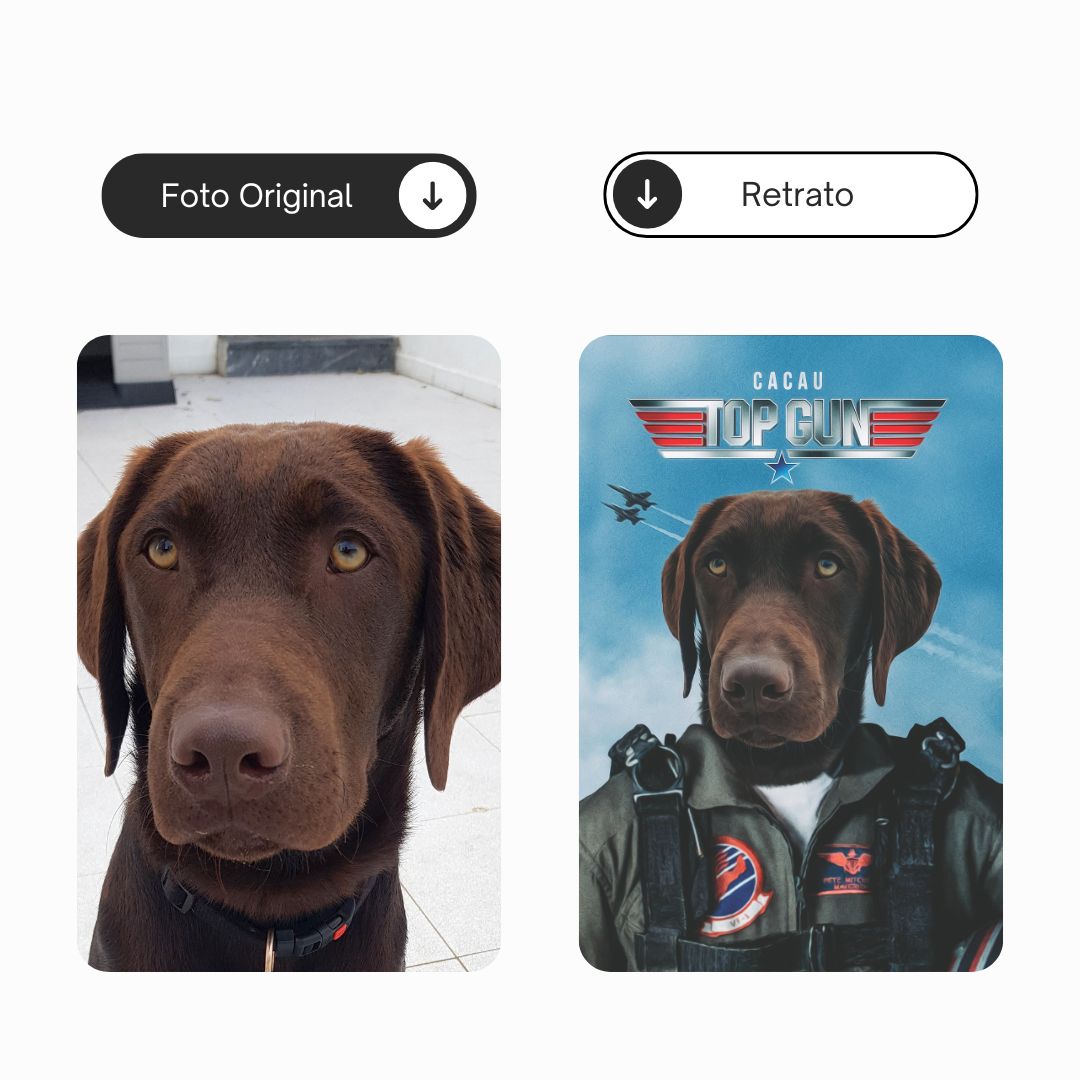 Top Gun | Retrato personalizado do teu animal de estimação