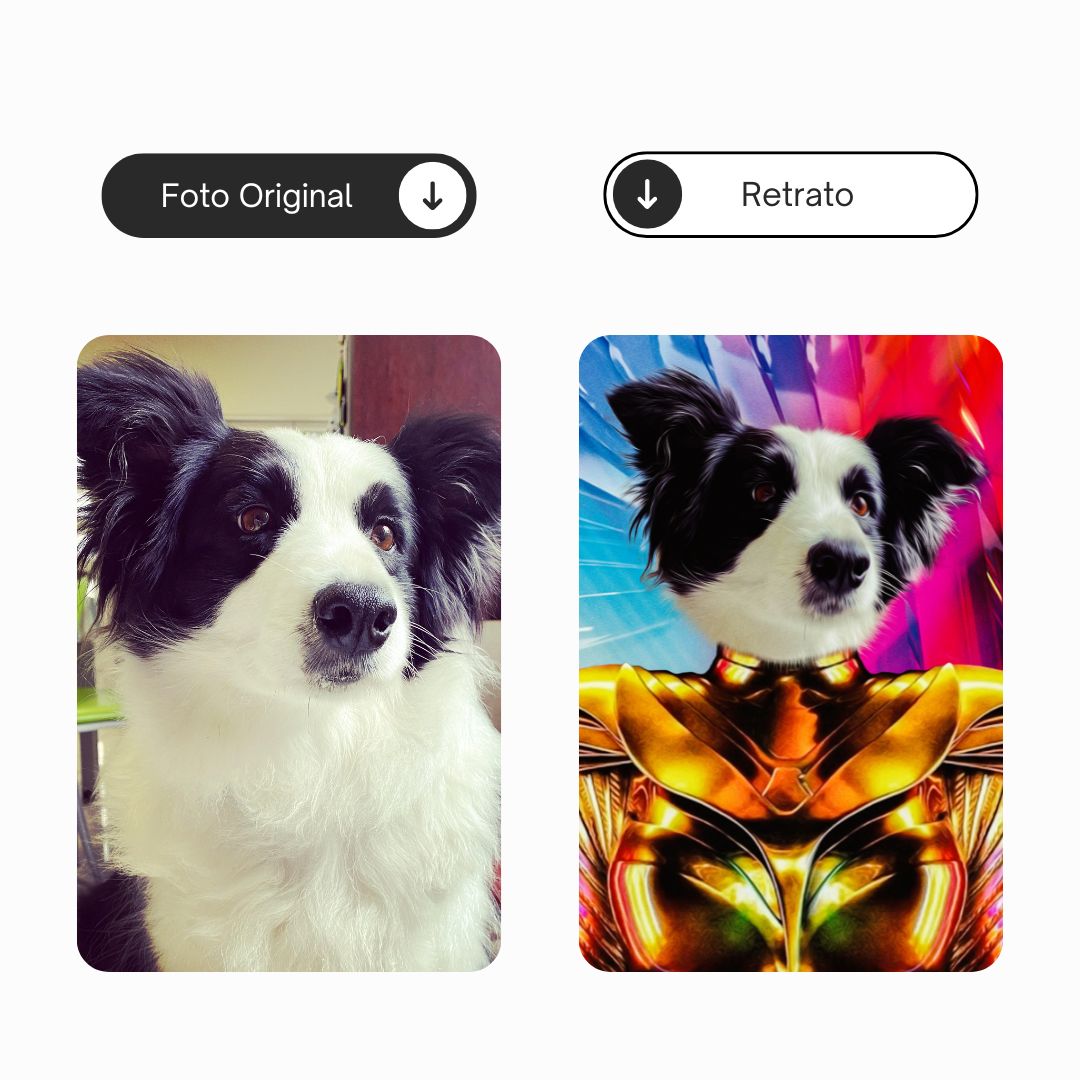 Mulher Maravilha (Wonder Woman) | Retrato personalizado do teu animal de estimação