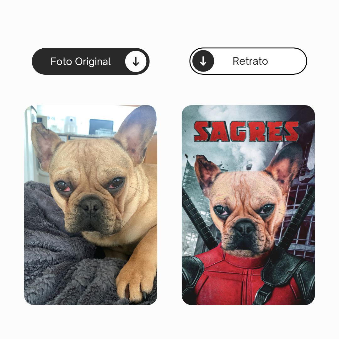 Petpool | Retrato personalizado do teu animal de estimação