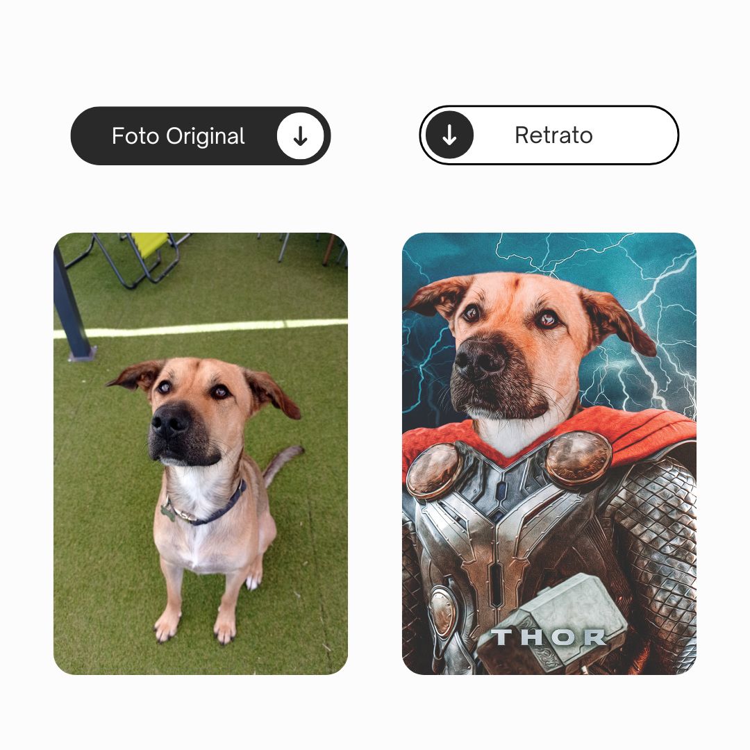 Thor | Retrato de mascota personalizado