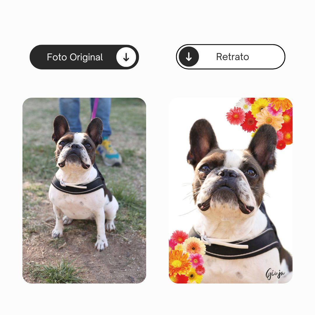Modern Flower | Retrato personalizado do teu animal de estimação
