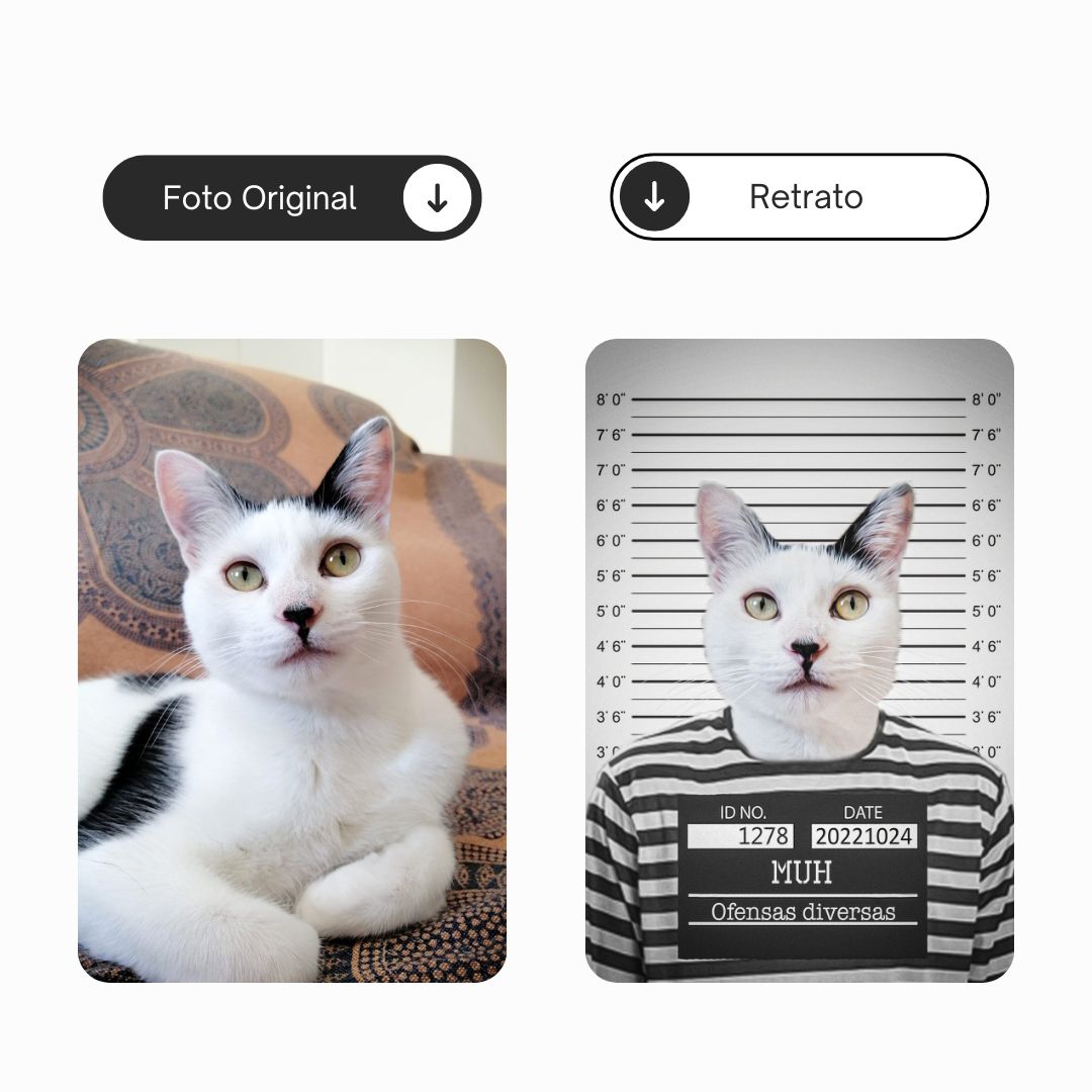 Se portó mal | Retrato de mascota personalizado