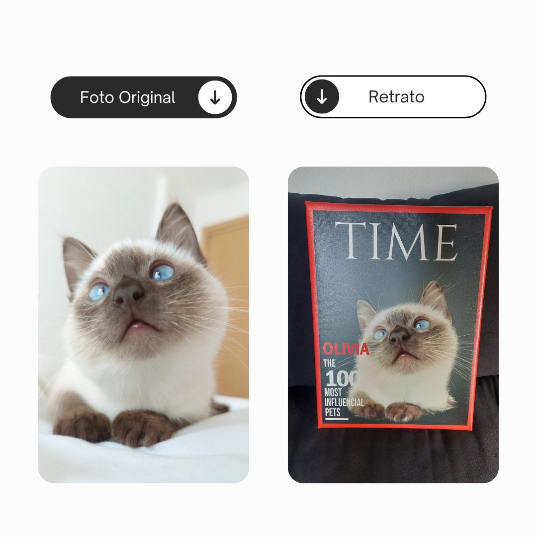 Portada de la revista TIEMPO | Retrato de mascota personalizado