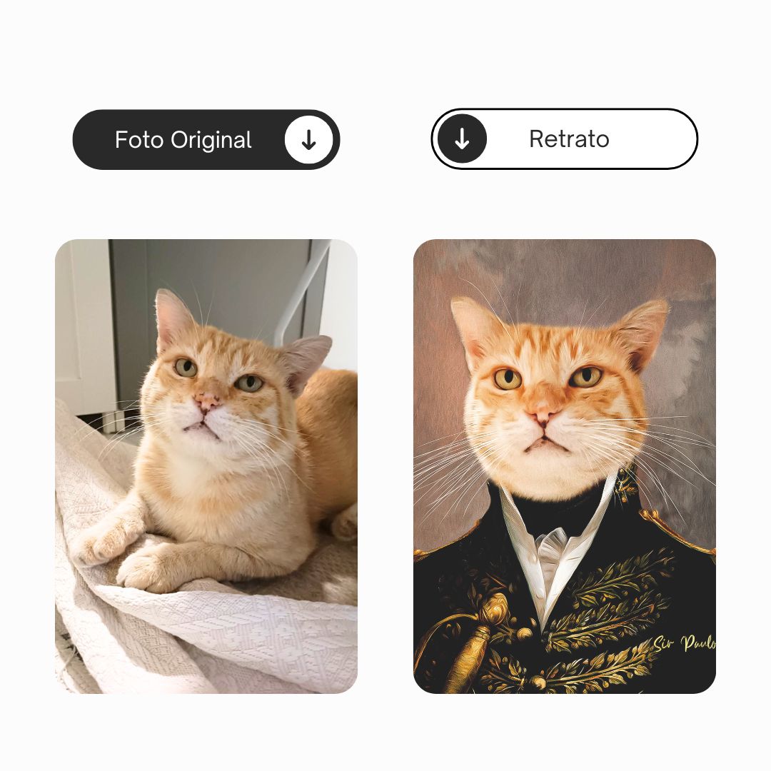 Almirante | Retrato de mascota personalizado