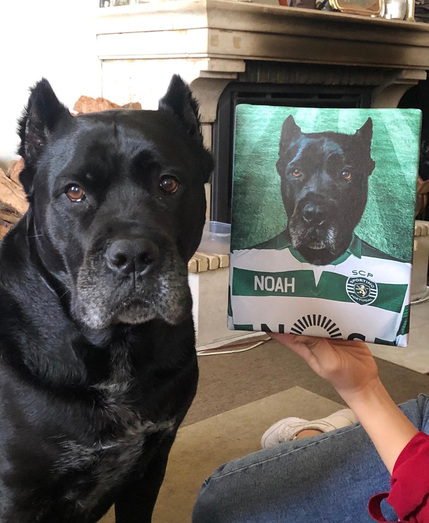 Sporting Club Portugal | Retrato de mascota personalizado