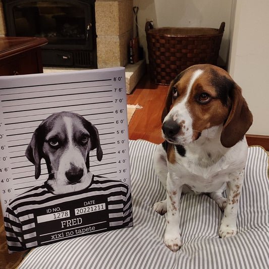 Se portó mal | Retrato de mascota personalizado