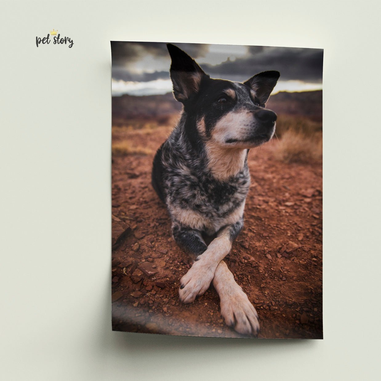 Impressão de Fotografia em Tela / Poster | Personalizado - Pet Story PT