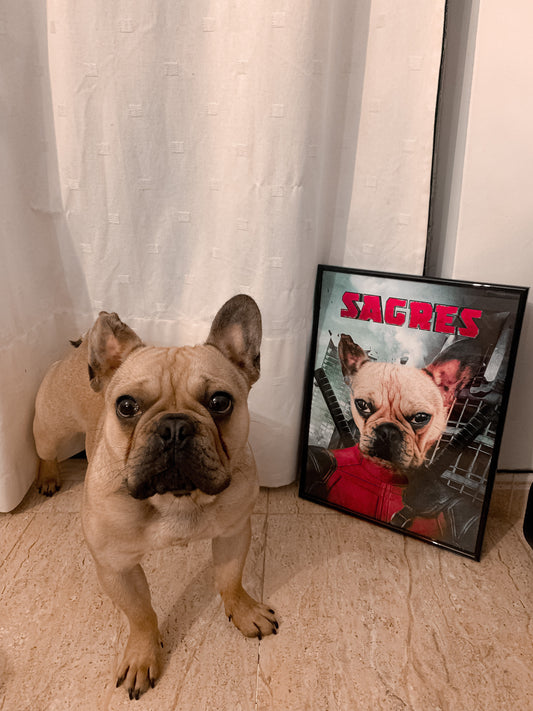 Petpool | Retrato personalizado do teu animal de estimação