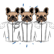 Carregar imagem no visualizador da galeria, Tema à sua medida 3 animais | Retrato Personalizado de Animal de Estimação - Pet Story PT
