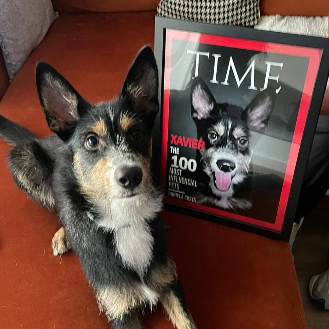 Portada de la revista TIEMPO | Retrato de mascota personalizado