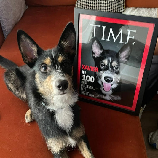 Portada de la revista TIEMPO | Retrato de mascota personalizado